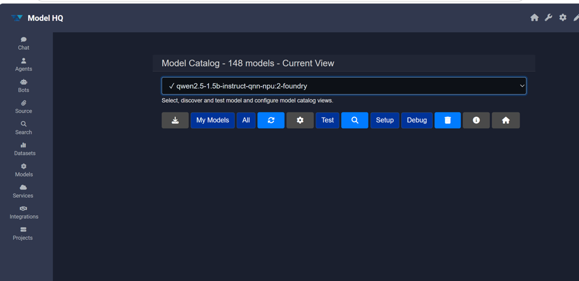 Agent run — text input